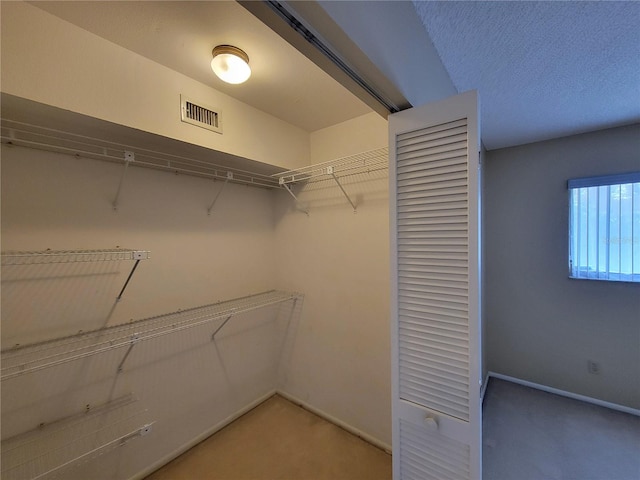 spacious closet featuring light colored carpet