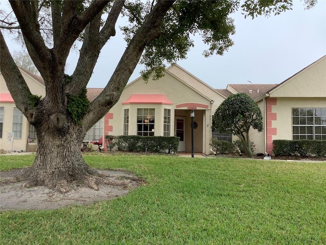 ranch-style house featuring a front lawn