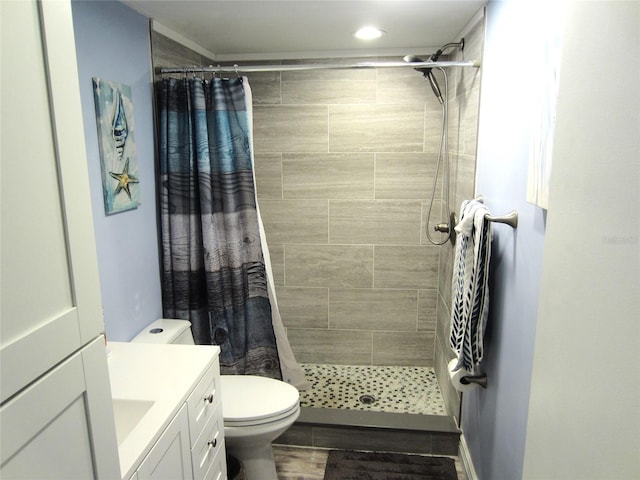 bathroom featuring vanity, a shower with curtain, and toilet