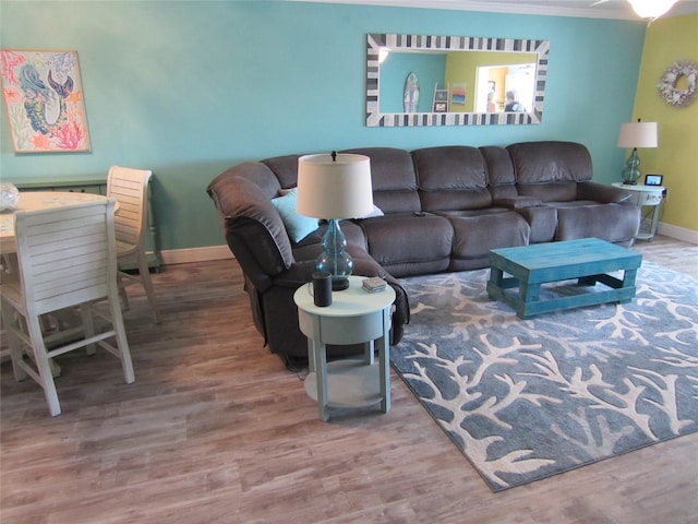 living room with hardwood / wood-style floors and ornamental molding