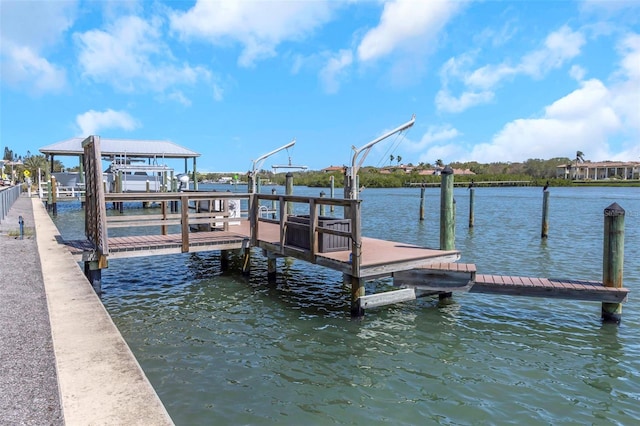 dock area with a water view