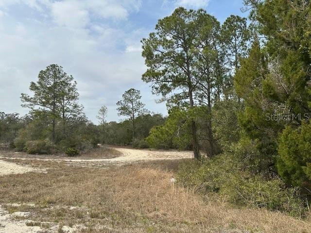 Hardstone Dr, Webster FL, 33597 land for sale