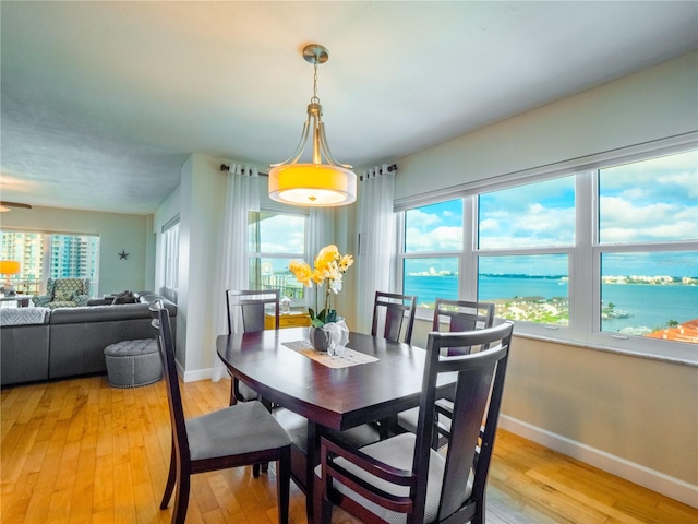 dining room with a water view and light wood-type flooring