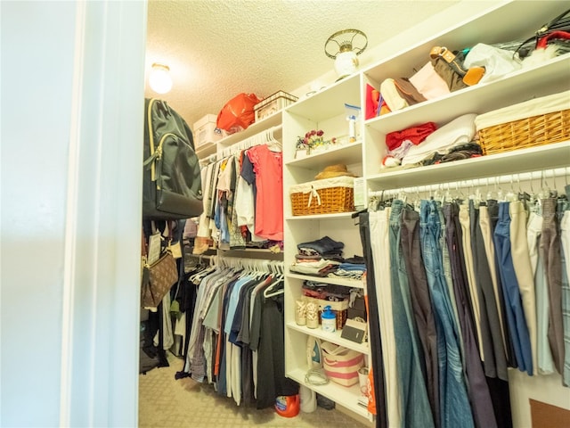 spacious closet with carpet flooring