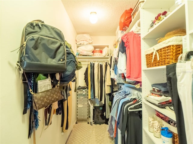 walk in closet with light colored carpet