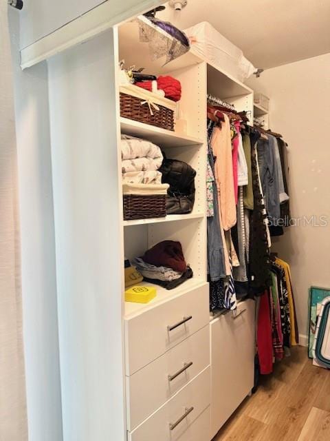 spacious closet featuring light hardwood / wood-style flooring