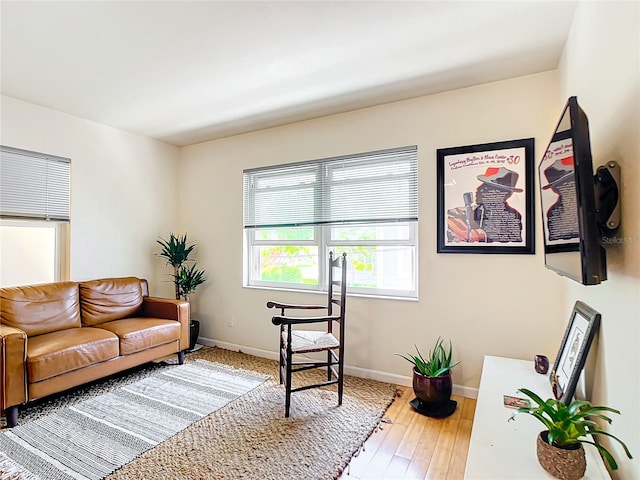 living room featuring hardwood / wood-style flooring