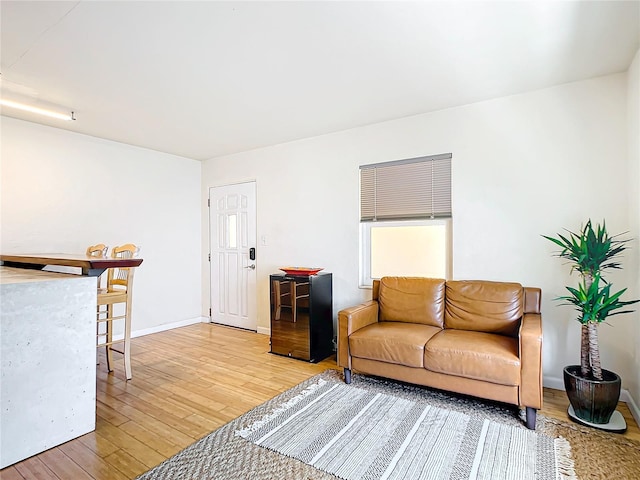 living room featuring light wood-type flooring