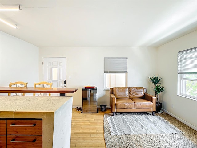 living room with light hardwood / wood-style flooring