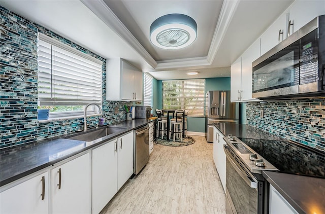 kitchen with white cabinets, appliances with stainless steel finishes, a raised ceiling, and sink