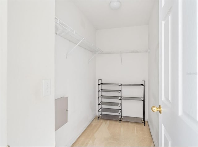 view of walk in closet