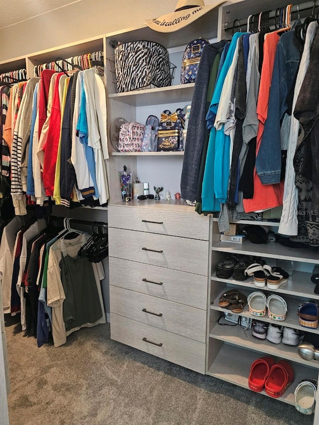 spacious closet with carpet