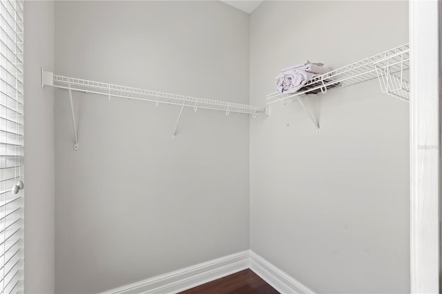 walk in closet featuring dark hardwood / wood-style floors