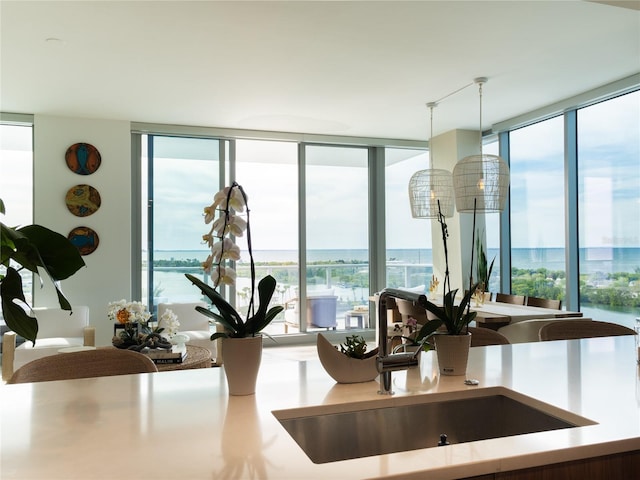 interior details with a water view and sink