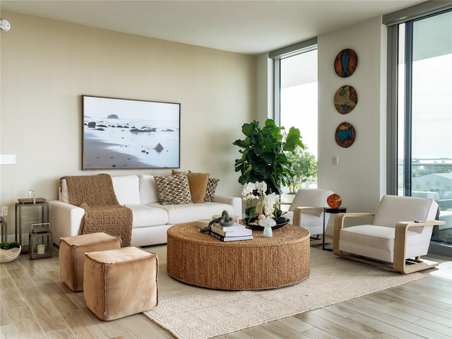 living room featuring floor to ceiling windows and light hardwood / wood-style floors