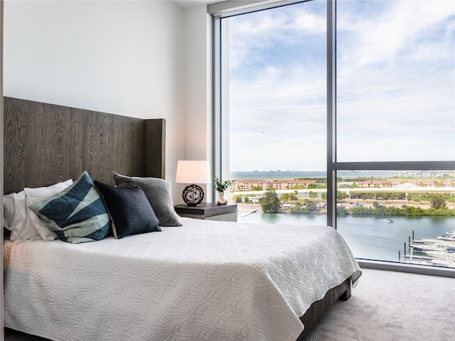 bedroom with carpet floors, a water view, and expansive windows