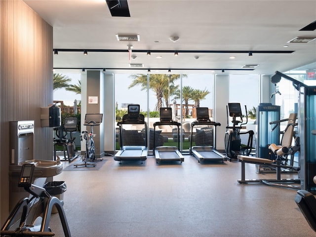 gym with expansive windows