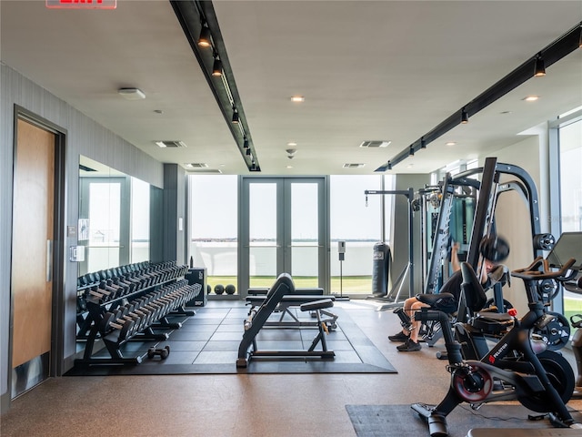 exercise room with a wealth of natural light