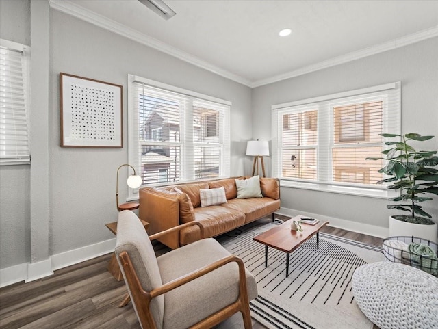 living room featuring crown molding and dark wood-type flooring