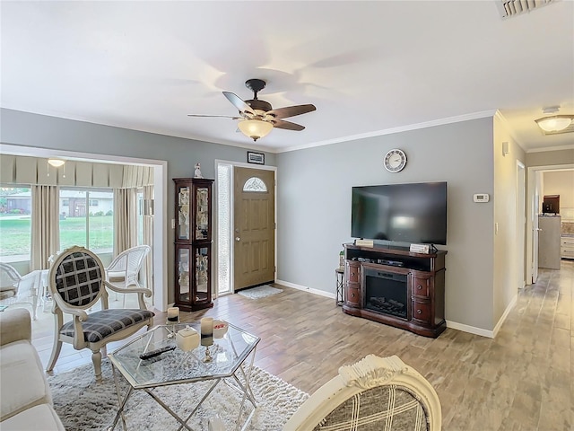 living room featuring ceiling fan, light wood-type flooring, and crown molding