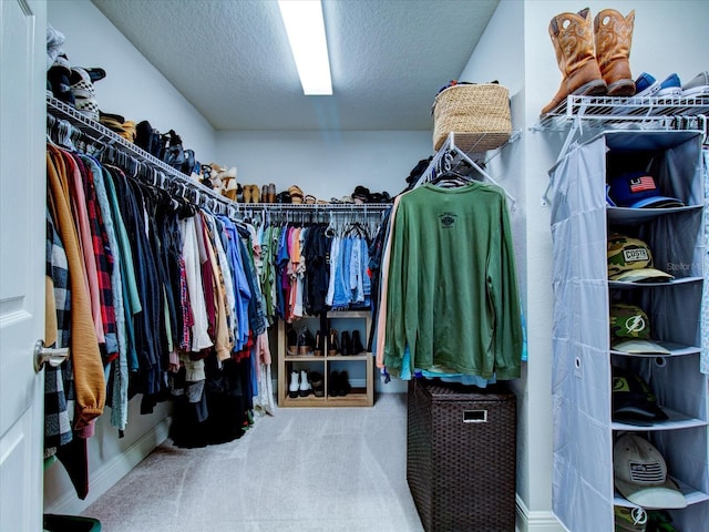 walk in closet featuring carpet