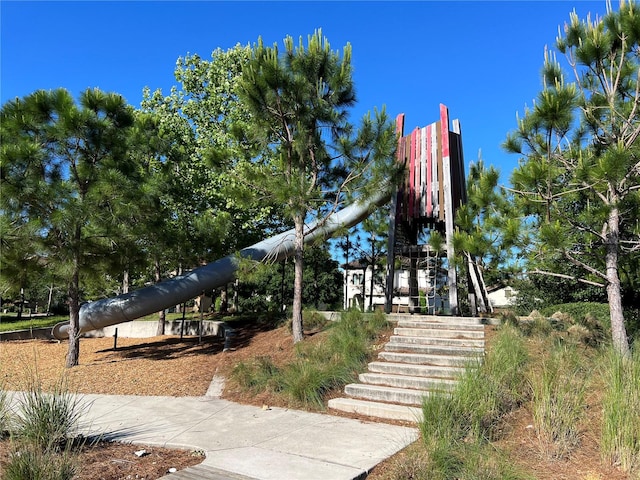 view of jungle gym