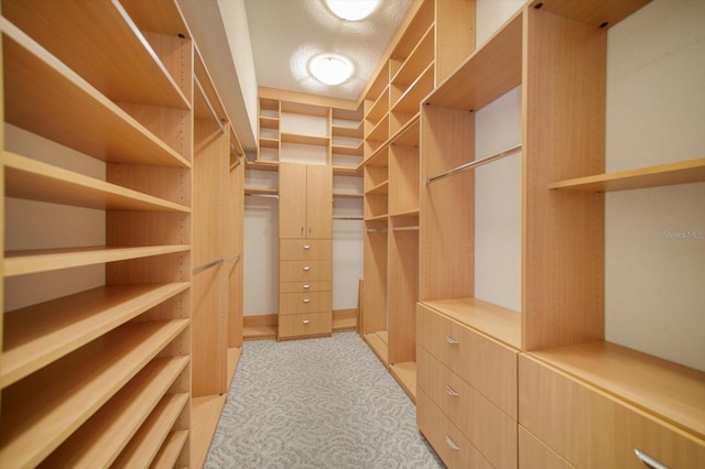 walk in closet featuring light colored carpet