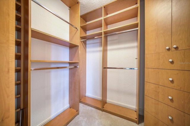 spacious closet with light carpet