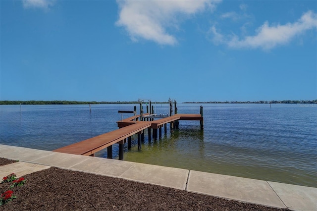 6627 Bayou Grande Blvd NE, Saint Petersburg, FL 33702 - photo 74