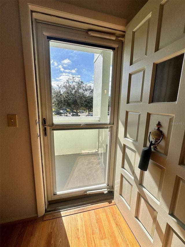 entryway featuring hardwood / wood-style floors