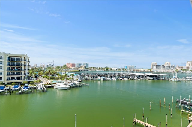 property view of water with a boat dock