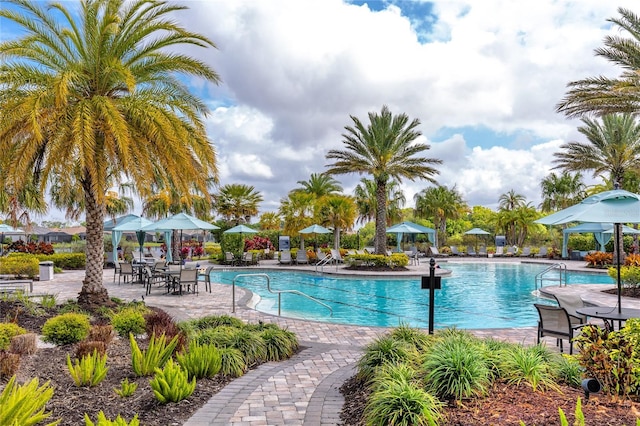 view of pool featuring a patio