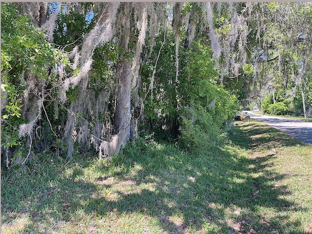 Union St, Brooksville FL, 34601 land for sale