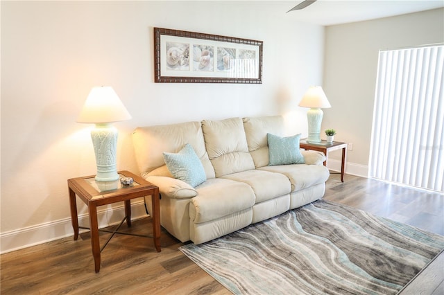 living room with ceiling fan and wood-type flooring