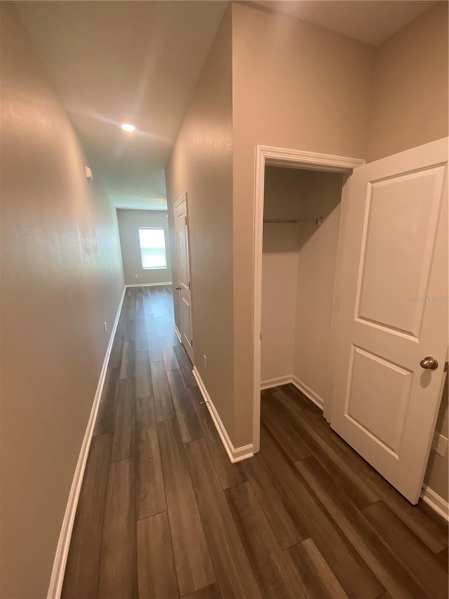 hallway featuring dark hardwood / wood-style floors