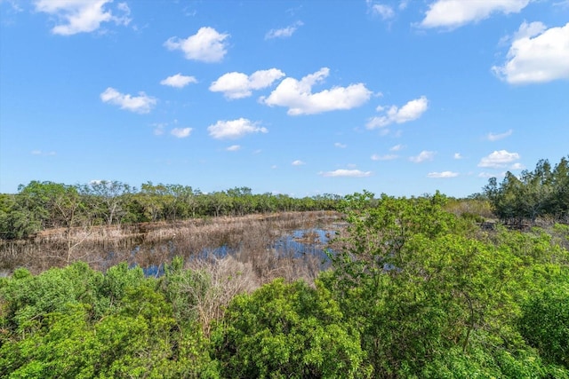 view of nature