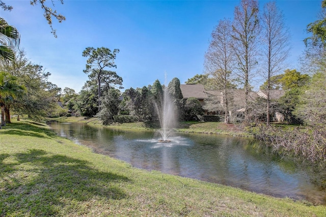 view of water feature