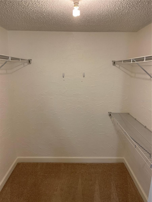 spacious closet with carpet