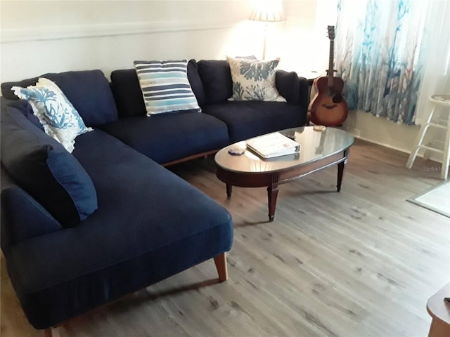 living room featuring wood finished floors