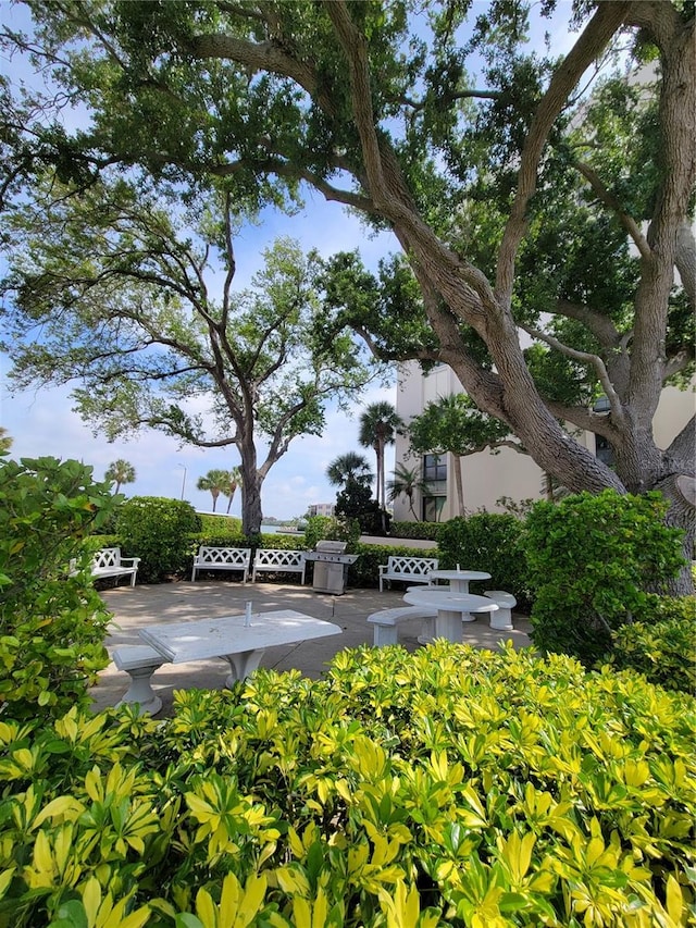 surrounding community with a patio area