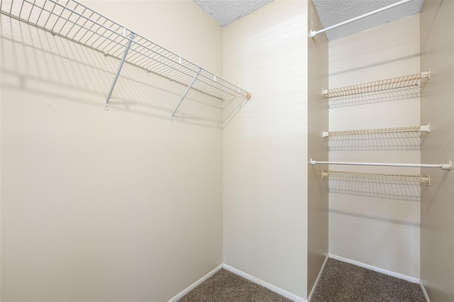 walk in closet featuring carpet floors