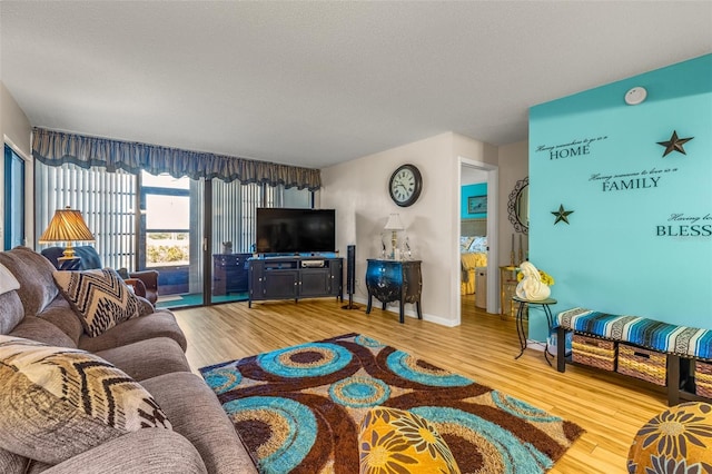 living room featuring light hardwood / wood-style floors and a textured ceiling