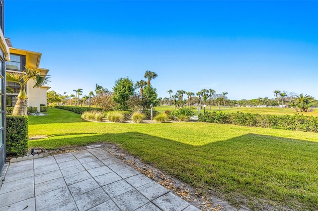 view of yard featuring a patio area