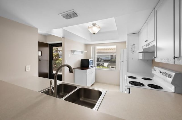 kitchen featuring range, white cabinets, a tray ceiling, and sink