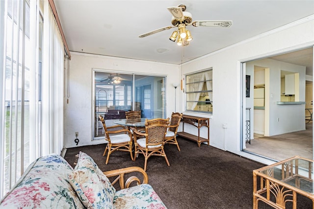 dining space featuring ornamental molding, carpet floors, a healthy amount of sunlight, and ceiling fan