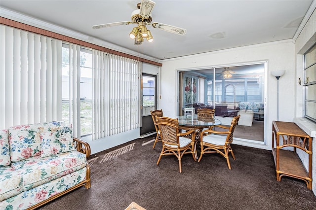 carpeted dining area with ornamental molding and ceiling fan