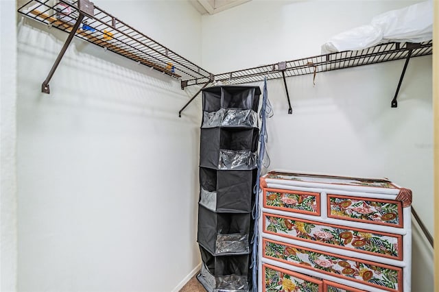 view of walk in closet