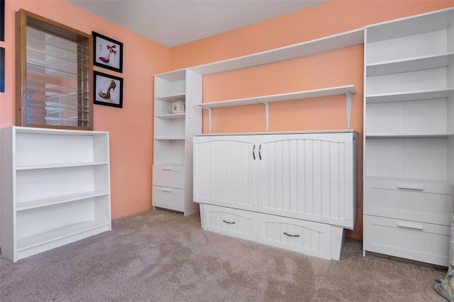 spacious closet with light carpet