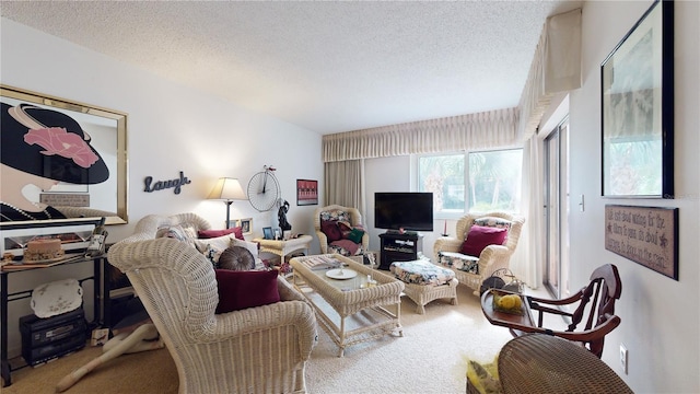 2205 Belleair Rd Unit A13, Clearwater, FL 33764 - carpeted living room with a textured ceiling