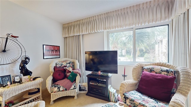 2205 Belleair Rd Unit A13, Clearwater, FL 33764 - sitting room featuring carpet